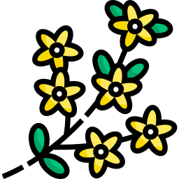 Winter jasmine icon