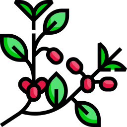 cotoneaster icono