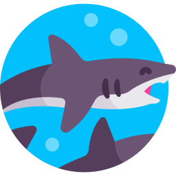 gran tiburón blanco icono