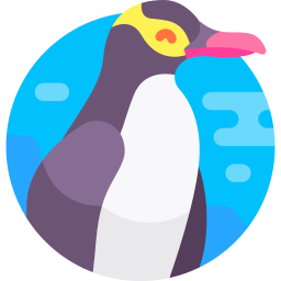 Yellow eyed penguin icon