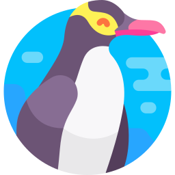 Желтоглазый пингвин иконка