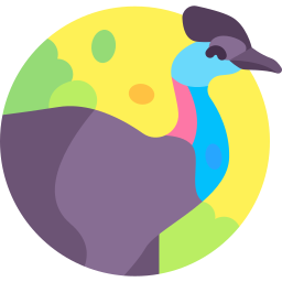 Cassowary icon