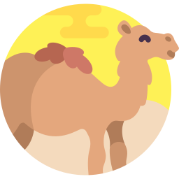 Bactrian camel icon