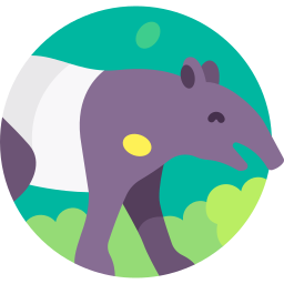 tapir asiatique Icône