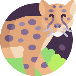 gepard icon