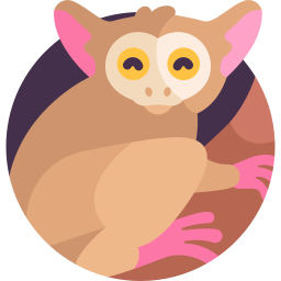 tarsier icoon