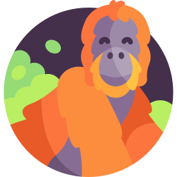 Орангутан иконка