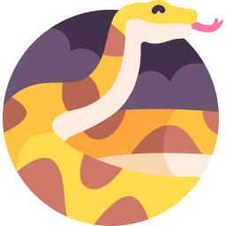 Boa constrictor icon