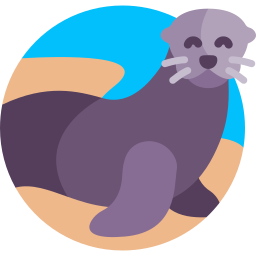 Galapagos sea lion icon
