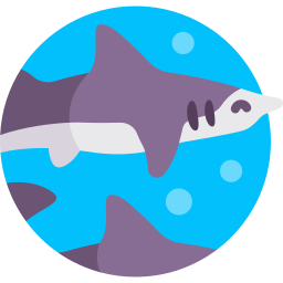 tiburón de aleta ancha icono
