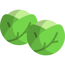 Brussels sprouts icon