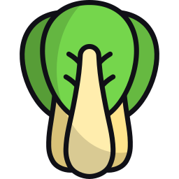 bok choi icon