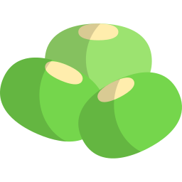콩 icon