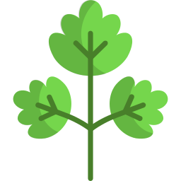 Parsley icon