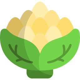 brócoli romanesco icono