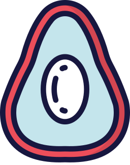 Fruit icon