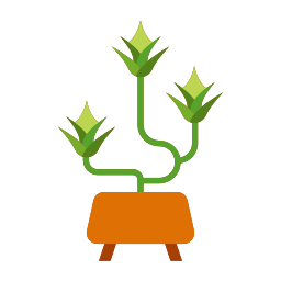 Комнатное растение иконка