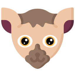 Animal icon