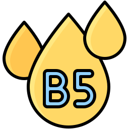 b5 icoon