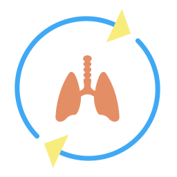 Pulmones icono