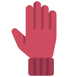 Gloves icon