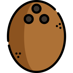 Coconut icon