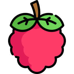 himbeeren icon