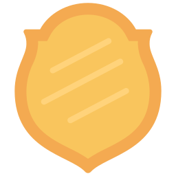 Shield icon