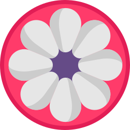 Mangosteen icon