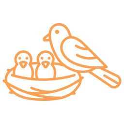 Birds icon