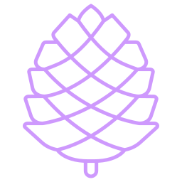 Pine cone icon