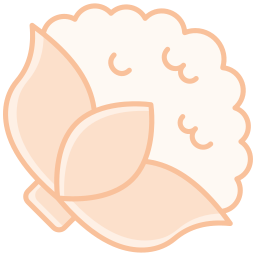 blumenkohl icon