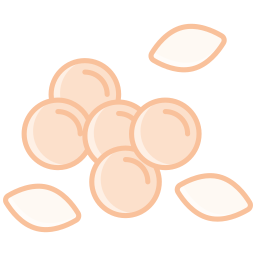 レンズ豆 icon