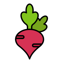 Radish icon