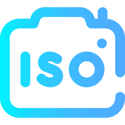 Iso icon