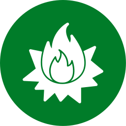 Blaze icon