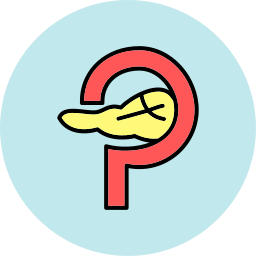 Pancreas icon