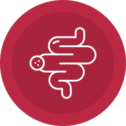 Intestine icon