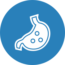 Stomach icon