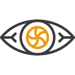 Vision icon