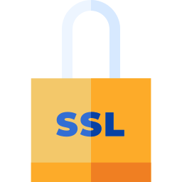 ssl Icône