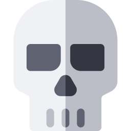 Skull icon