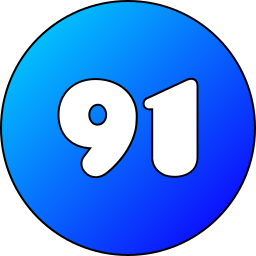 91 Ícone