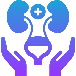 Nephrology icon