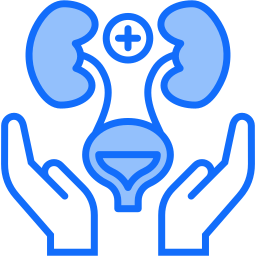 nephrologie icon