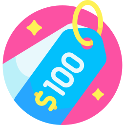 100 dollar icoon