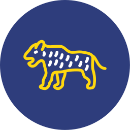 Tiger icon