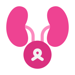 Kidney cancer icon