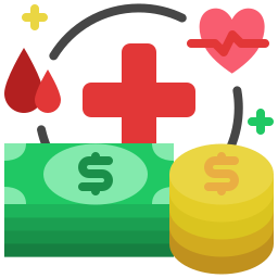 orçamento de saúde Ícone