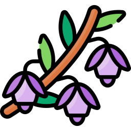 flor de brezo icono